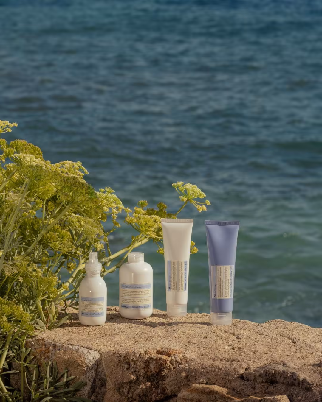Davines global paid media strategy across European markets