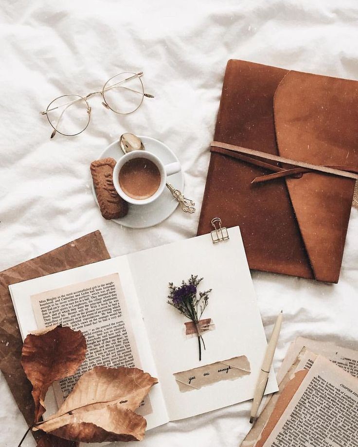 Social Media Trends September 2026: What Brands Need to Know