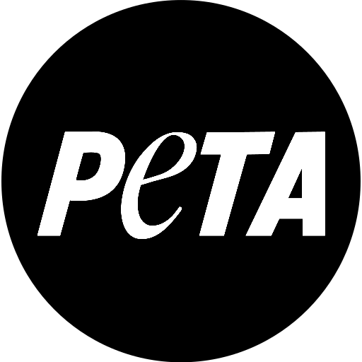 Peta noise media client