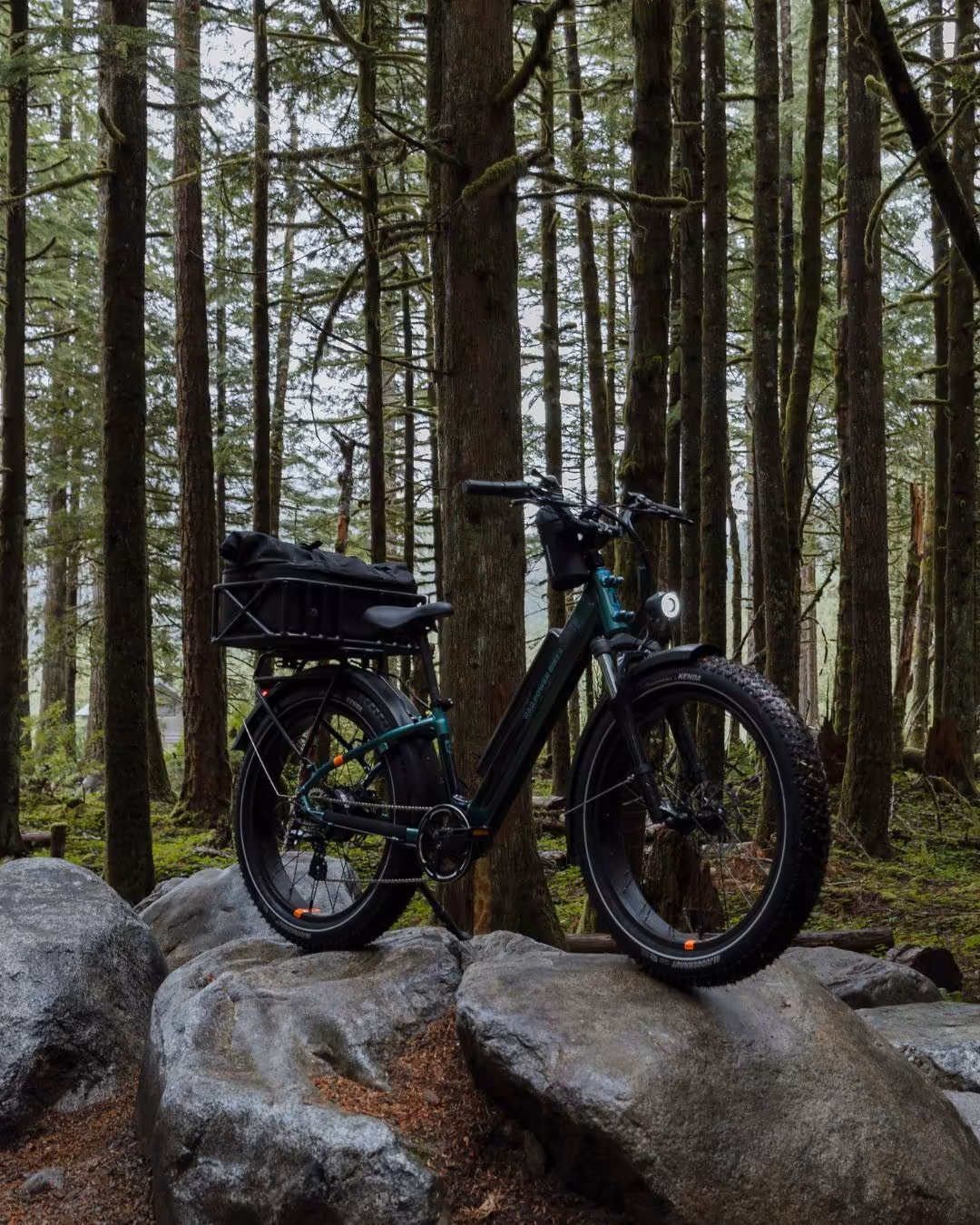 America's largest E-Bike brand signs with Noise for European Expansion